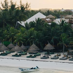 Casa Las Tortugas Petit Beach Hotel & Spa